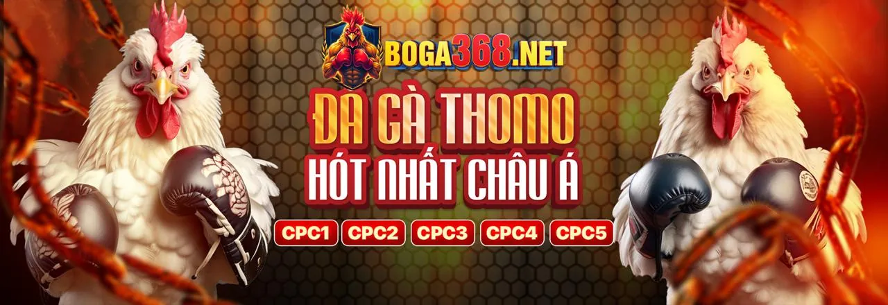Nền tảng bet66 với các ưu điểm nổi bật