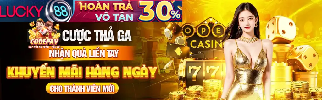 Hình ảnh minh họa các điều khoản chung của bkwin
